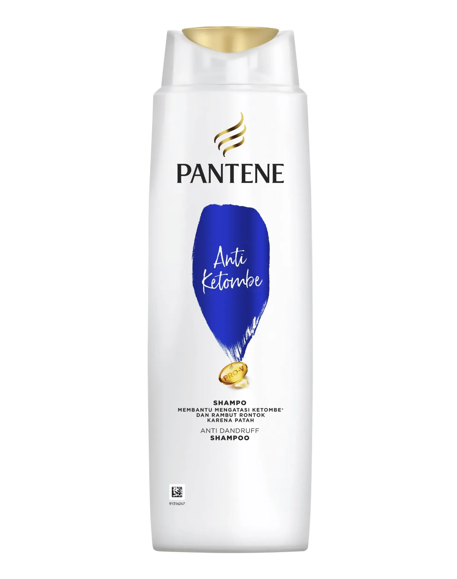 Pantene Shampoo 2in1 Anti Ketombe & Rambut Rontok Btl 110ML