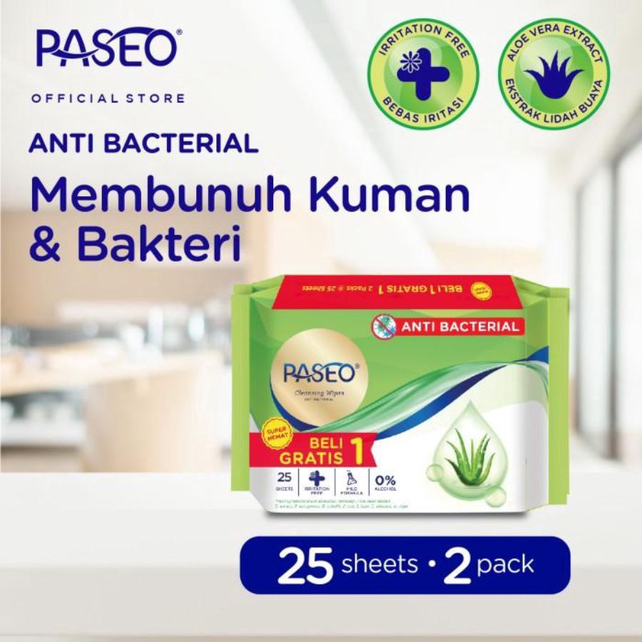 Paseo Wipes Anti Bacterial Gazette 2x25S