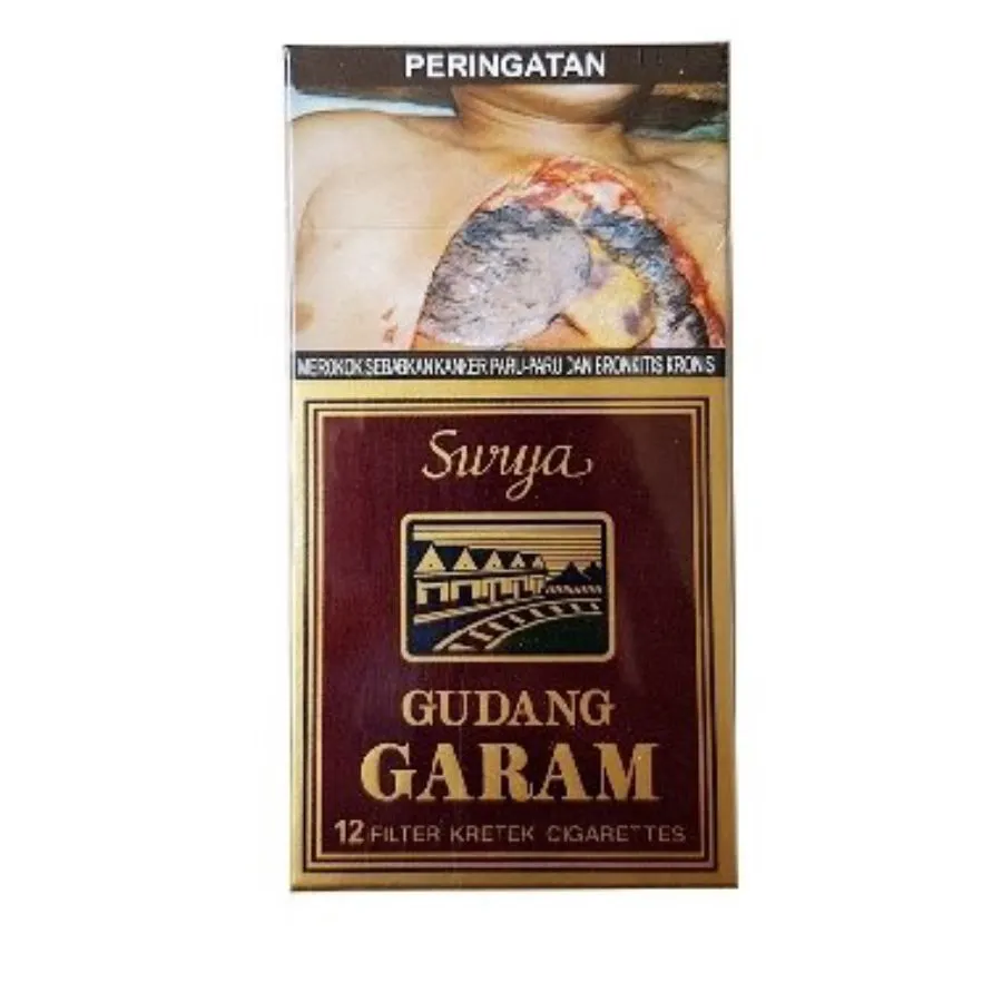 Surya Gudang Garam 12