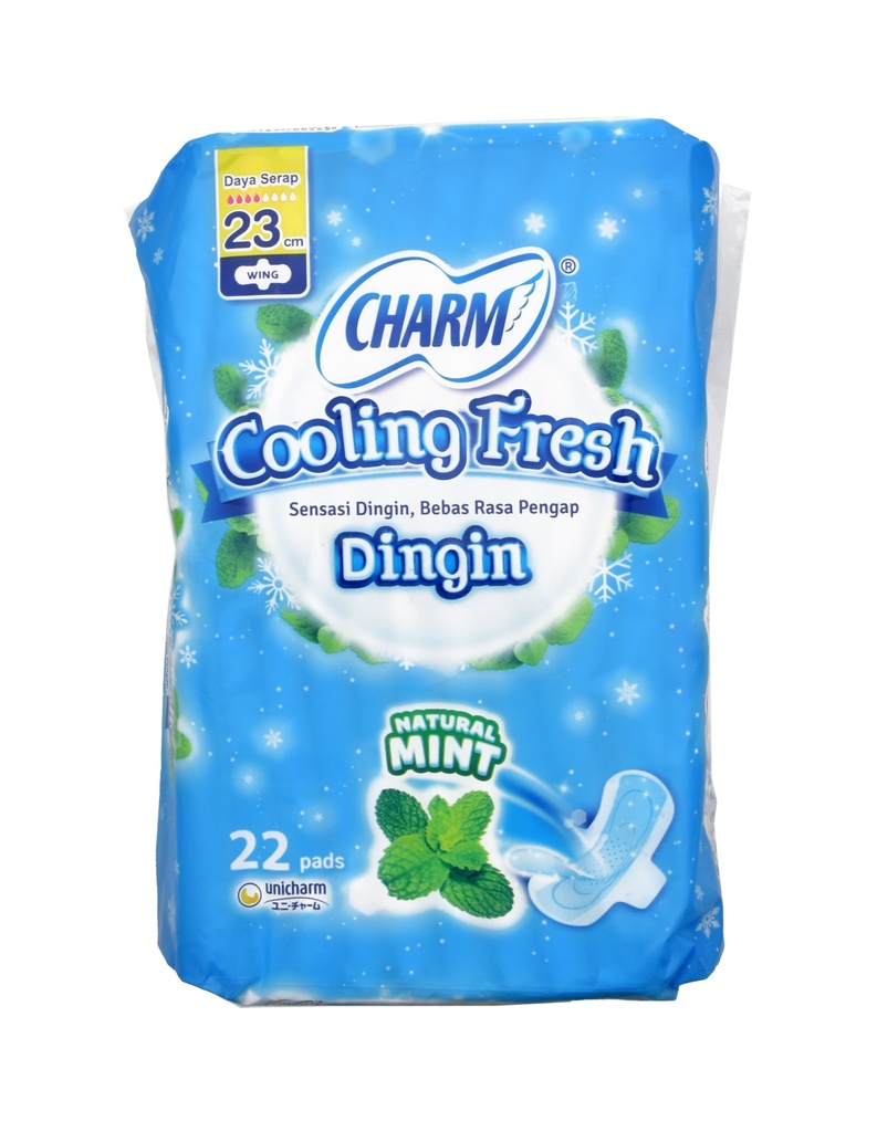 Charm Cooling Fresh 23CM Wing 22PCS