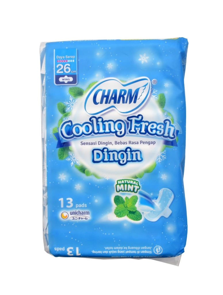 Charm Cooling Fresh 26CM Wing 13PCS