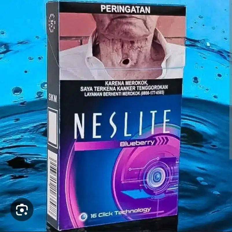 Neslite Blueberry 16