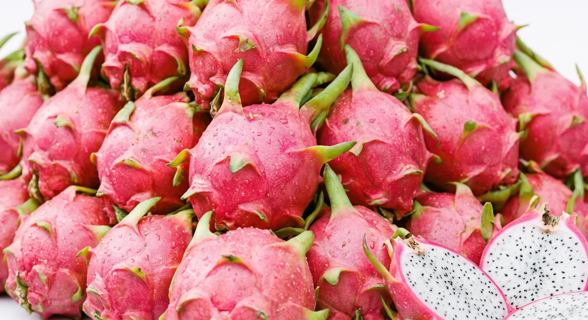 Buah Naga
