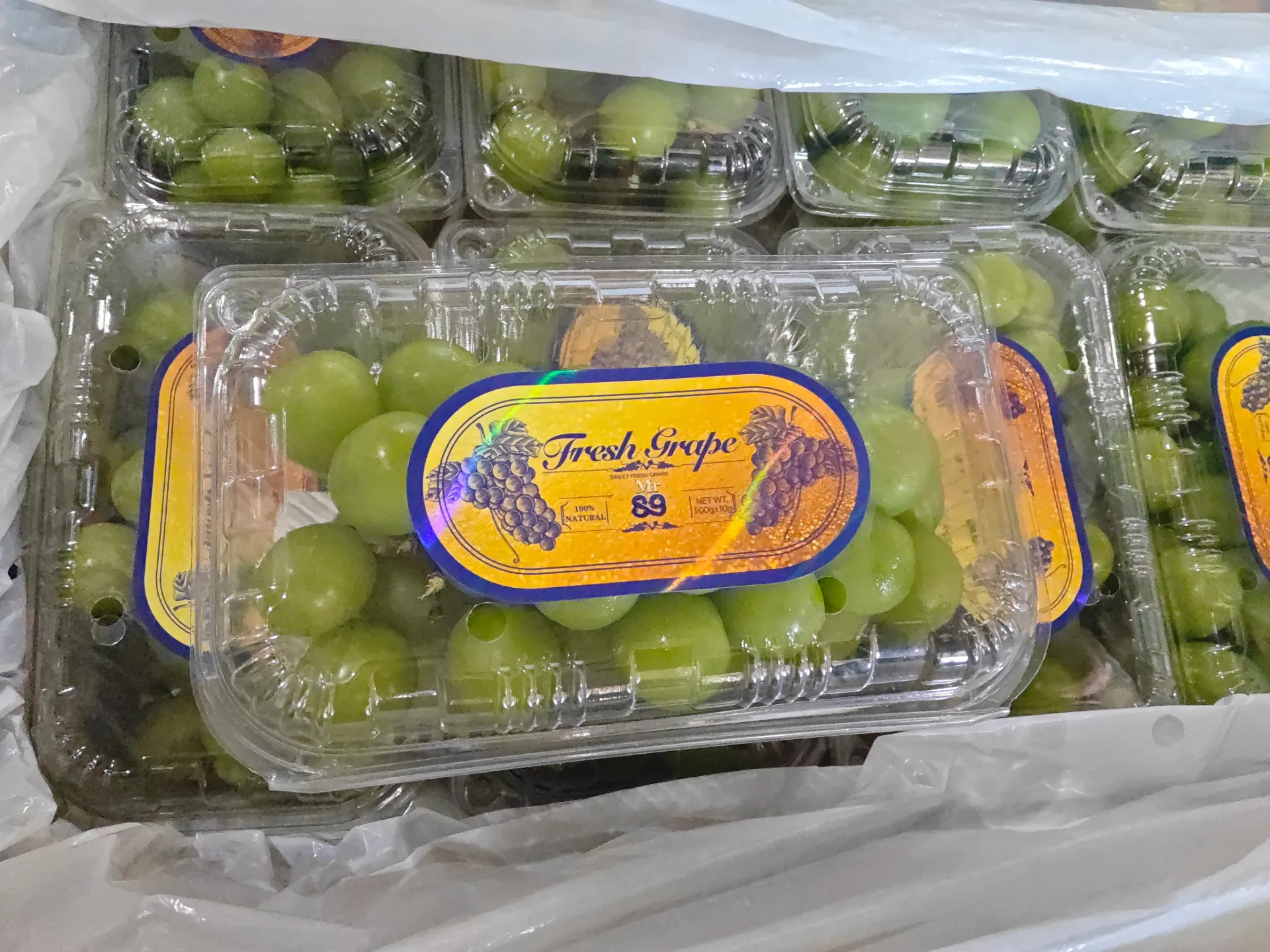 Anggur Muscat Hijau
