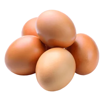 Telur Ayam