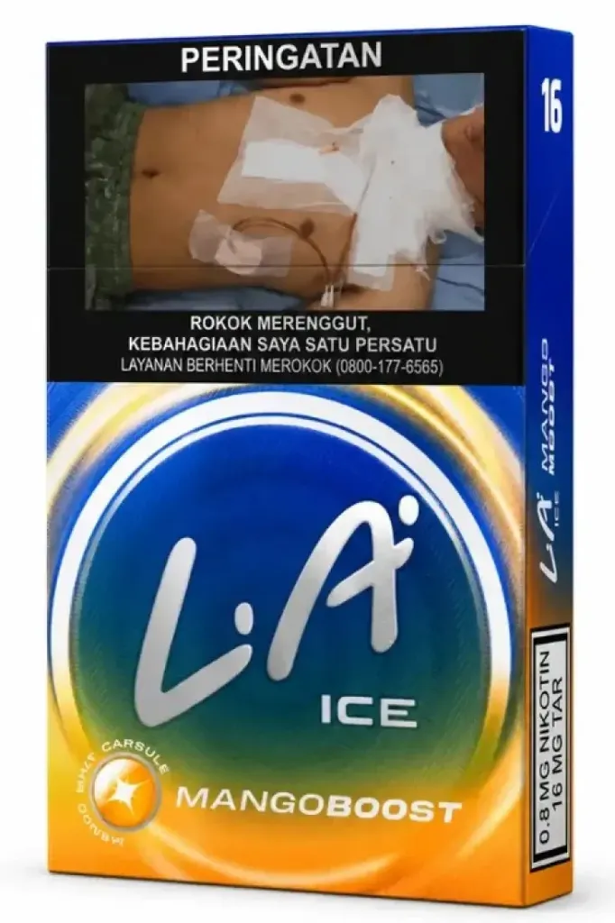 Djarum LA Ice Mango Boost 16