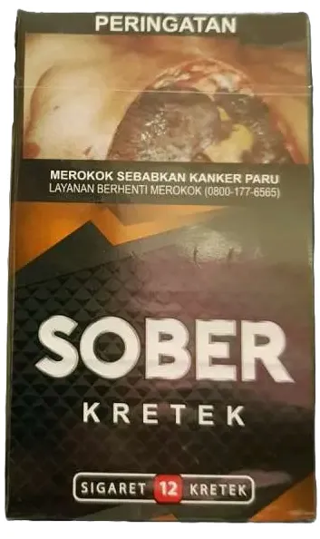 Djarum Sober Kretek 12